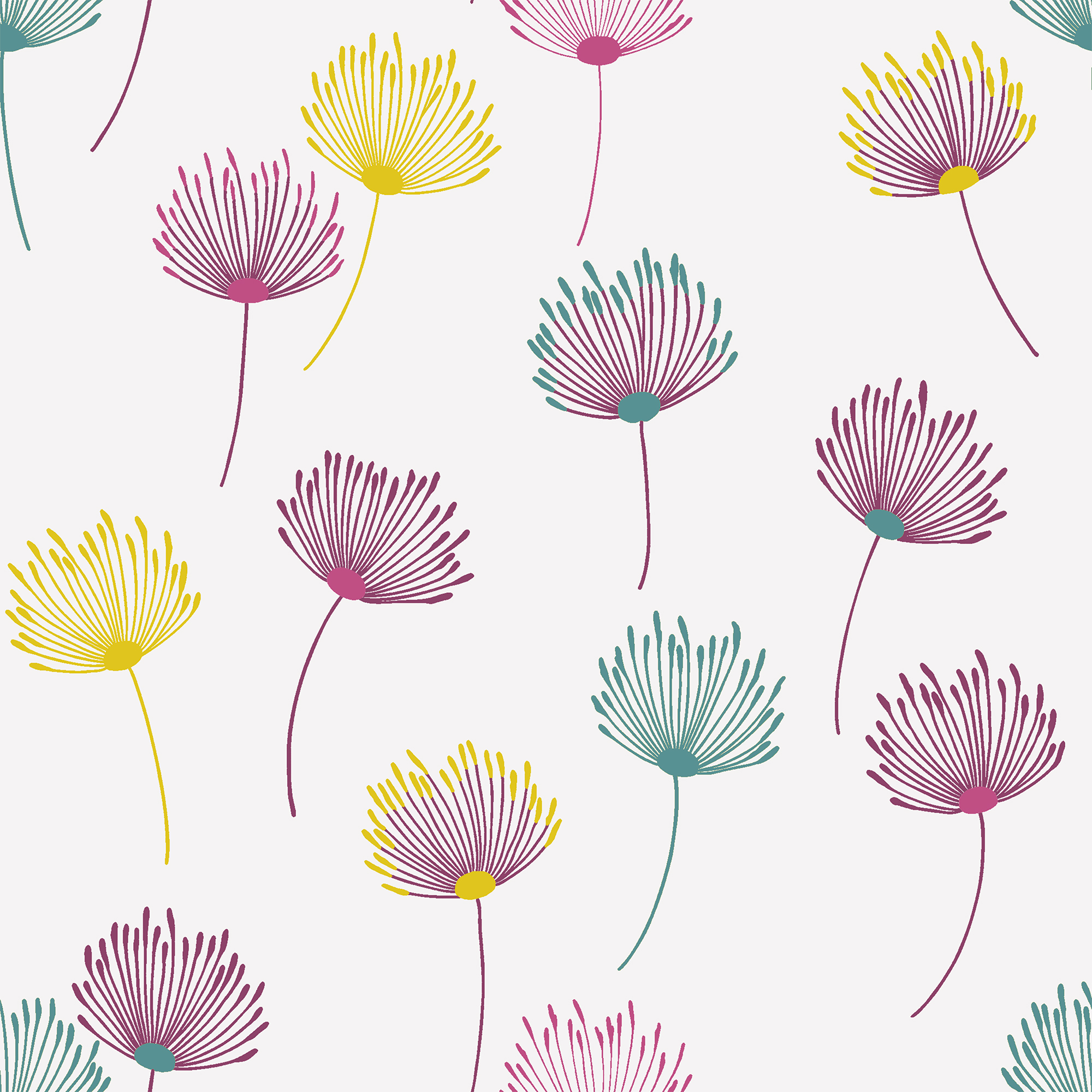 Calista Radience 2.0MT Roller